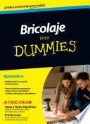 Bricolaje Para Dummies
