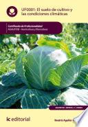 El Suelo De Cultivo Y Las Condiciones Climáticas. Agah0108