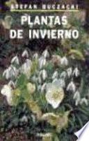 Plantas De Invierno