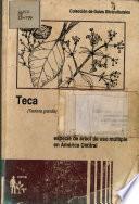 libro Teca