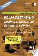 libro Bolsa De Trabajo. Jardinero, Electricista, Conductor Y Pintor. Diputación Provincial De Toledo