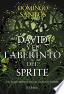 David Y El Laberinto Del Sprite