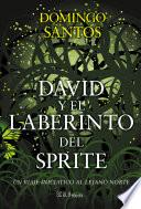 David Y El Laberinto Del Sprite