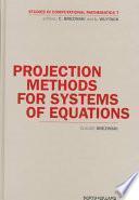 libro Projection Methods For Systems Of Equations