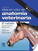 libro Atlas En Color De Anatomía Veterinaria. El Caballo + Evolve