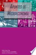 libro Apuntes De Microeconomía