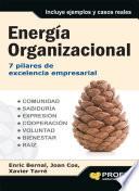 libro Energía Organizacional
