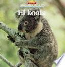 libro El Koala