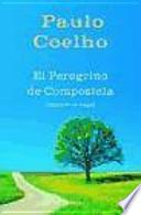 libro El Peregrino De Compostela (diario De Un Mago)