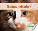 libro Gatos Tricolor