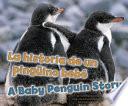 La Historia De Un Pingüino Bebé/a Baby Penguin Story