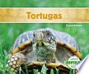 libro Tortugas