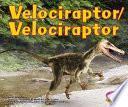 Velociraptor/velociraptor