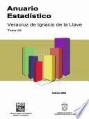 libro Anuario Estadístico Del Estado De Veracruz 2006. Tomo Iii
