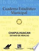 Chapulhuacán Estado De Hidalgo. Cuaderno Estadístico Municipal 1996