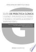 Guía De Práctica Clínica De Las Lesiones Traumáticas De La Mano Y Muñeca. Desarticulaciones Y Amputaciones De Muñeca Y Mano