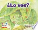¨lo Ves? (can You See It?)