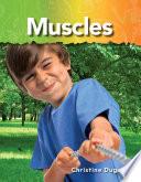 Los Músculos (muscles)