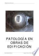 libro Patología En Obras De Edificación