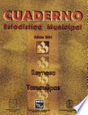 Reynosa Tamaulipas. Cuaderno Estadístico Municipal 2001