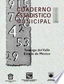 Tenango Del Valle Estado De México. Cuaderno Estadístico Municipal 1998